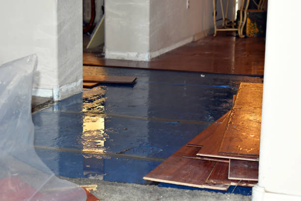 Professional Basement Water Removal technician working in Thornton, WA